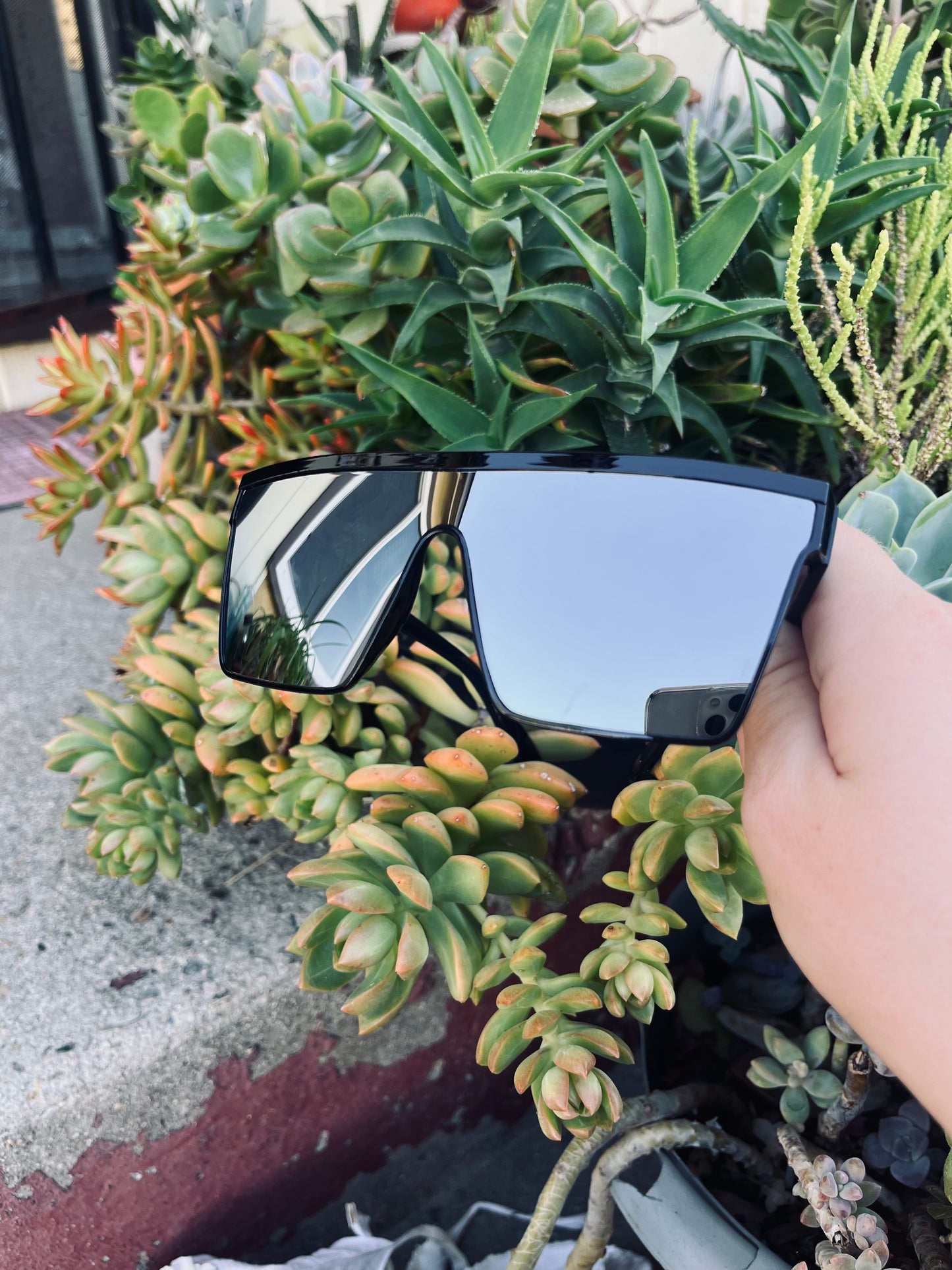 glasses