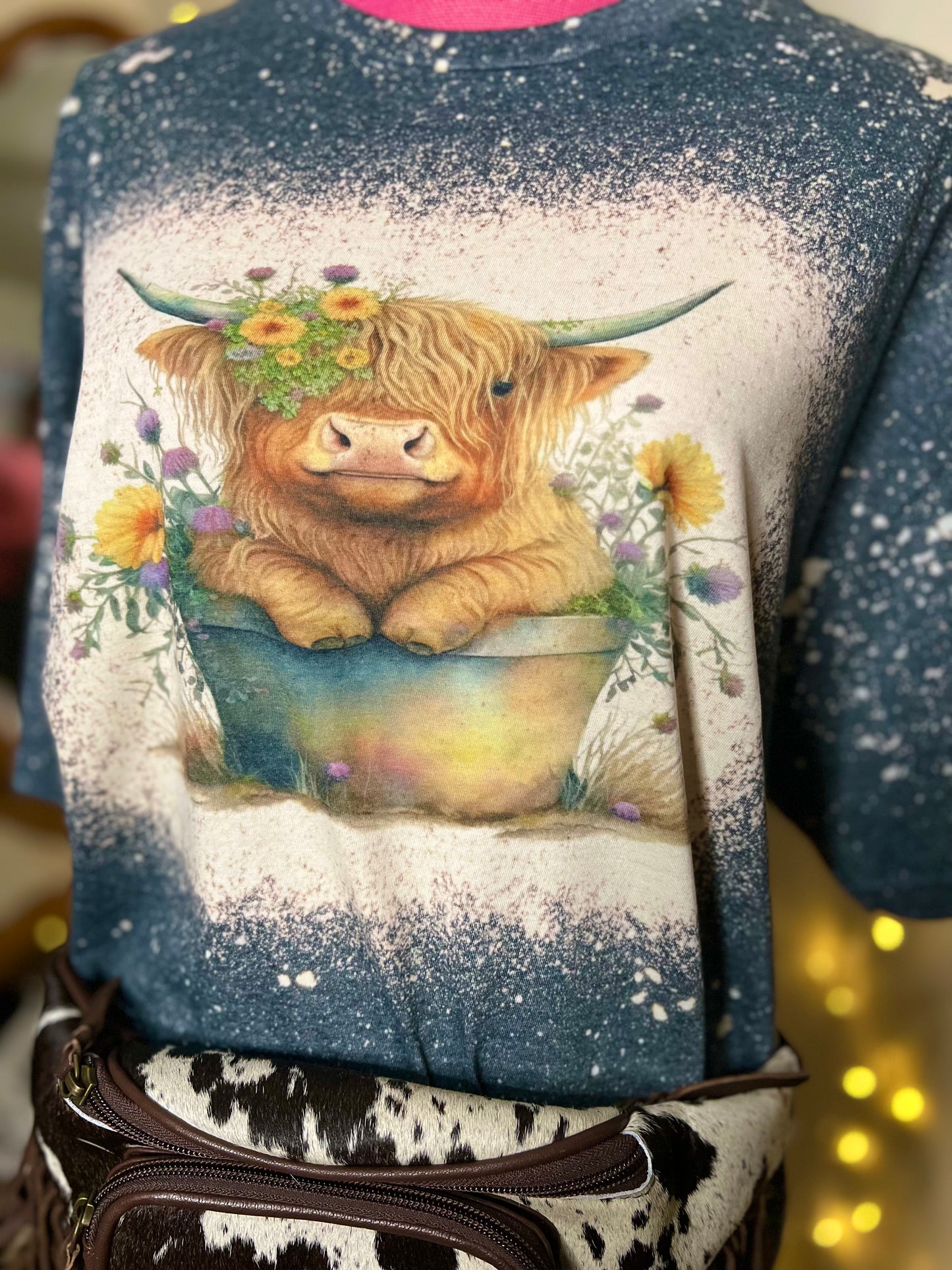 Highland cow