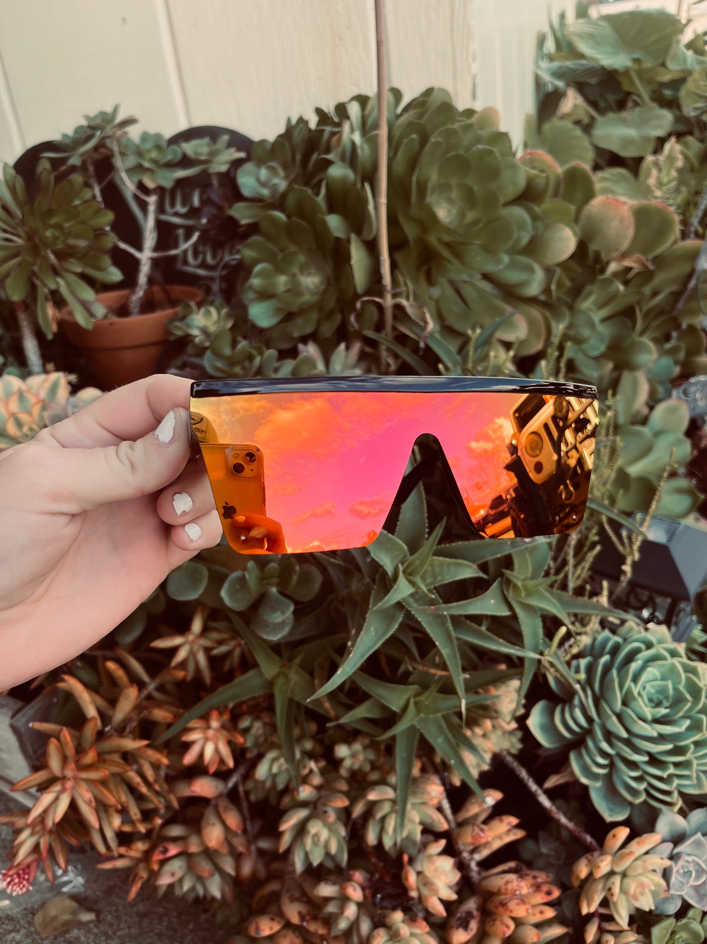 Sunglasses 🕶️