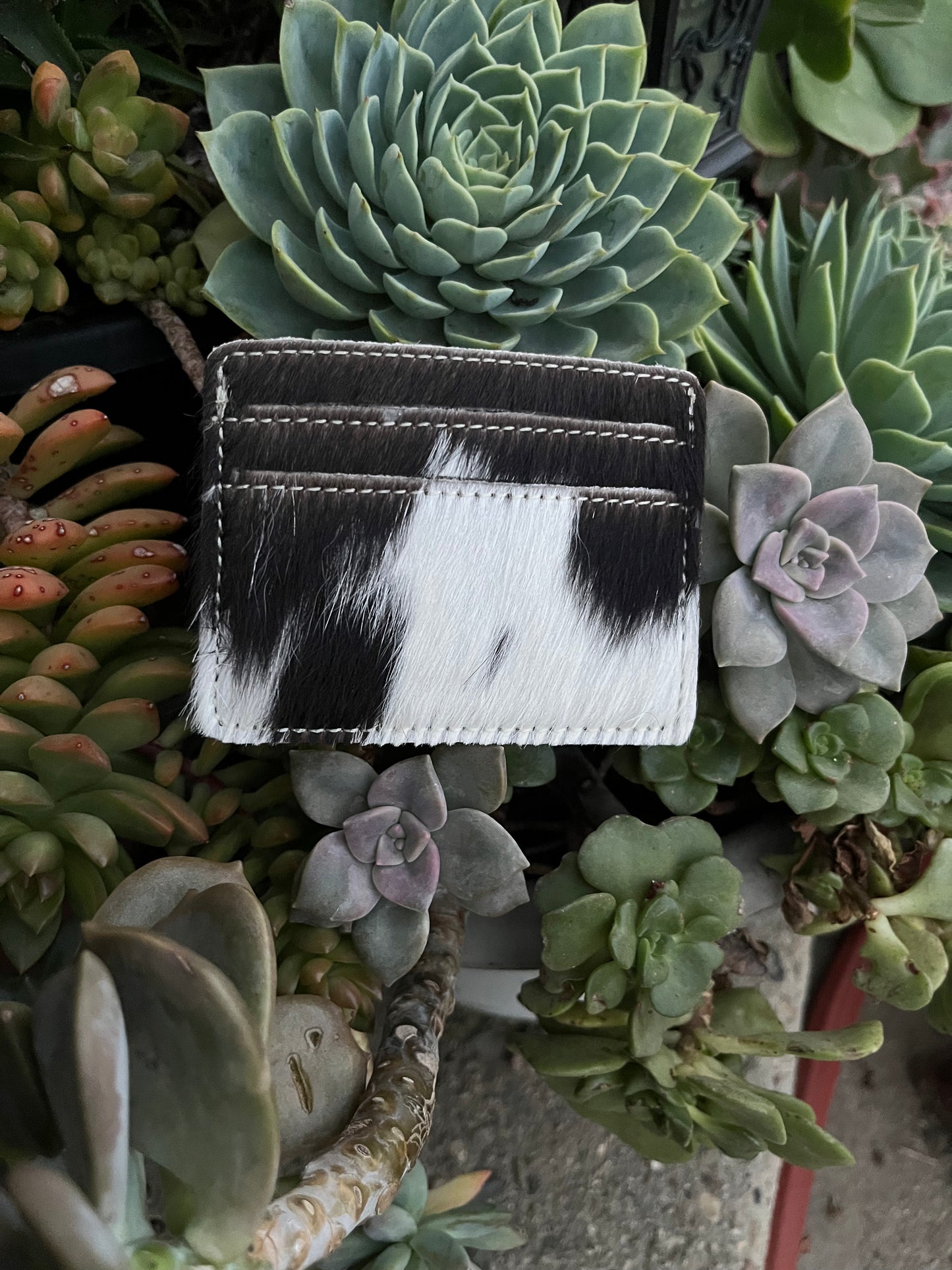 Brown cowhide card/money holder