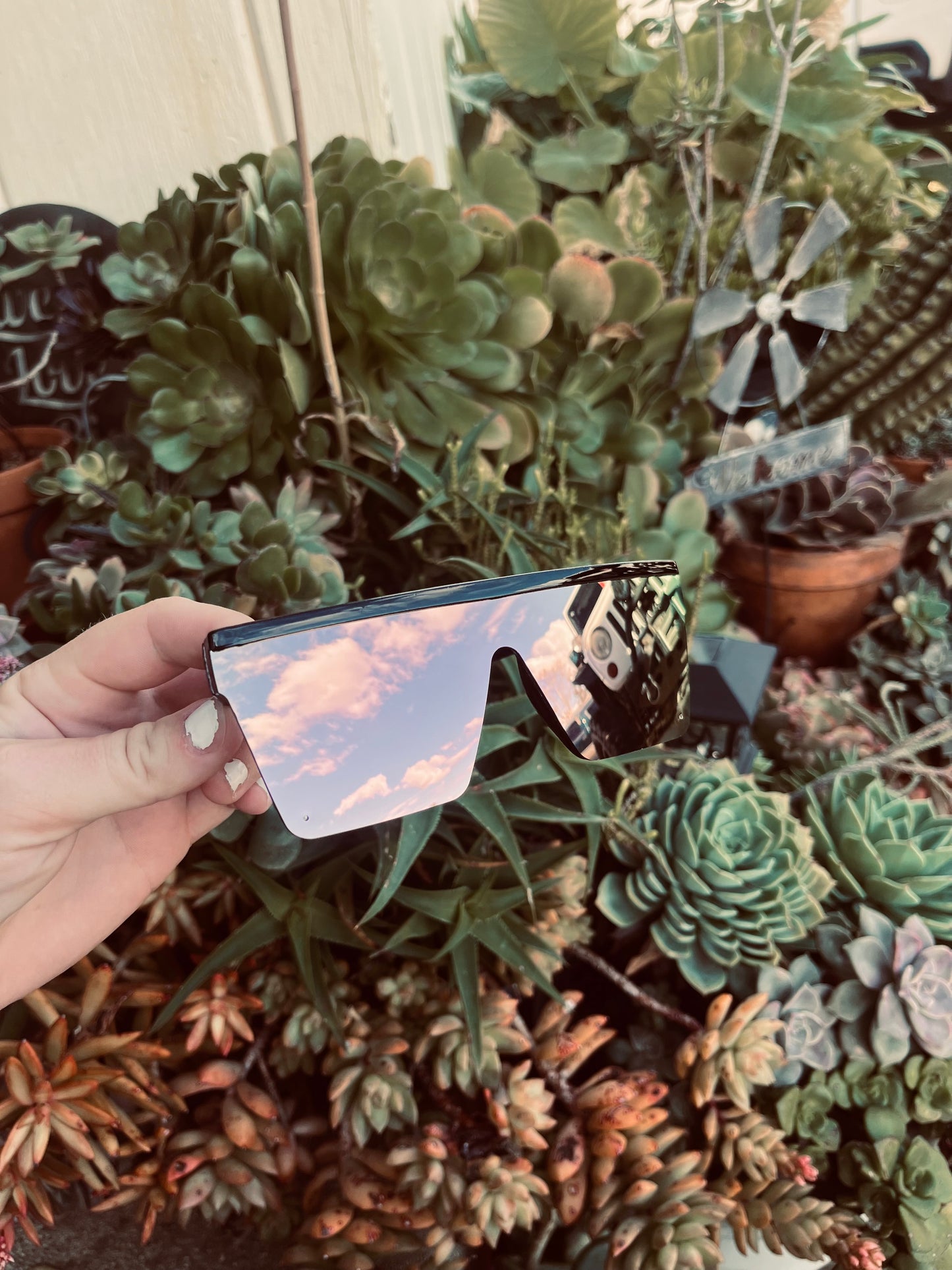Sunglasses 🕶️