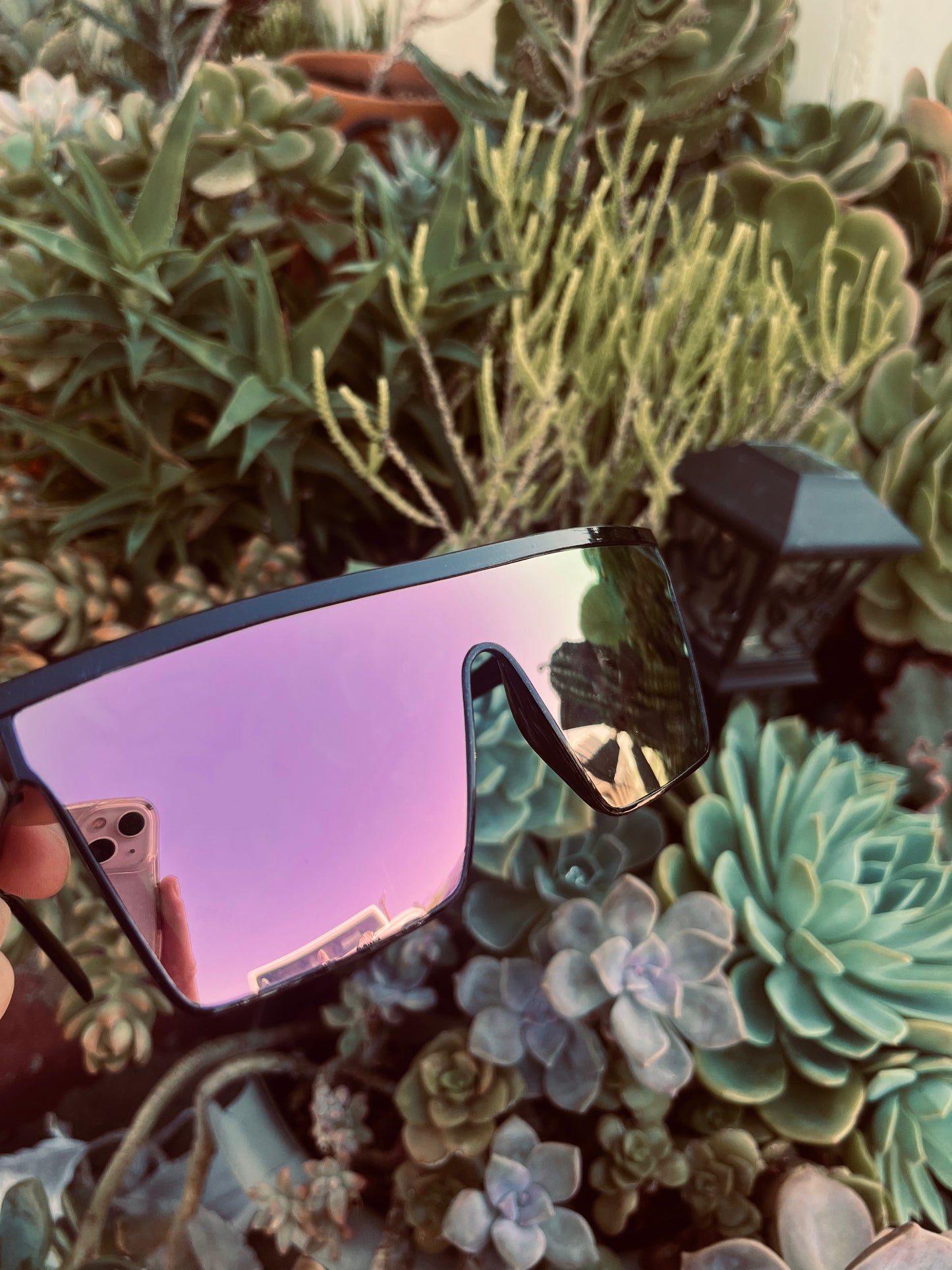 glasses