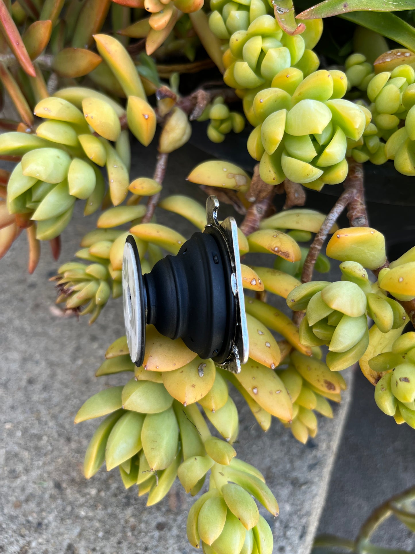 Thunder bird pop socket