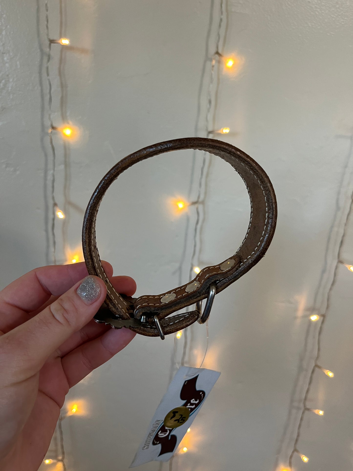 leather dog collar